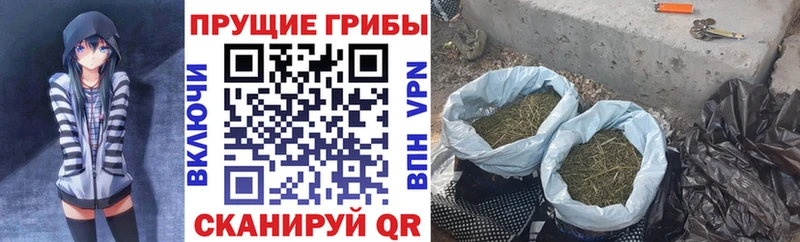MEGA рабочий сайт  Кукмор  Псилоцибиновые грибы мицелий 